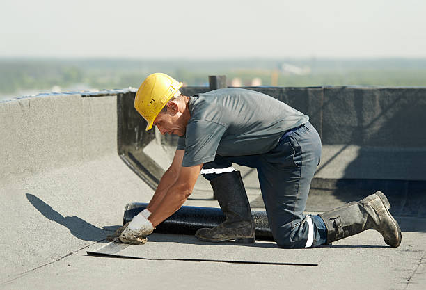 Best Geographic-Specific Insulation Services in Point Baker, FL