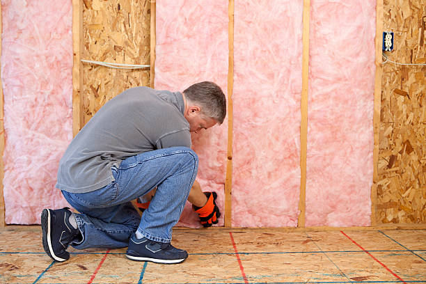 Best Eco-Friendly Insulation in Point Baker, FL